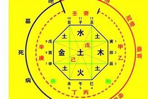 五行喜用|八字入门基础 第六篇 如何判断八字喜用神